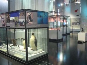 南極・北極科学館