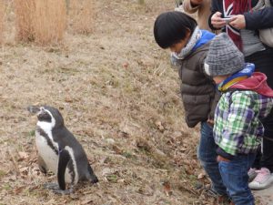 埼玉県こども動物自然公園