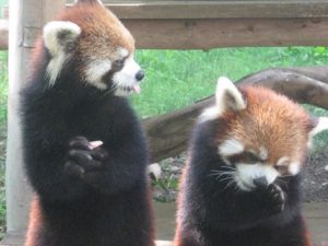 千葉市動物公園