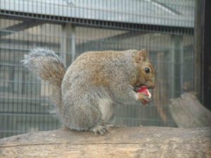 江戸川区自然動物園