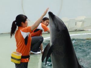 しながわ水族館