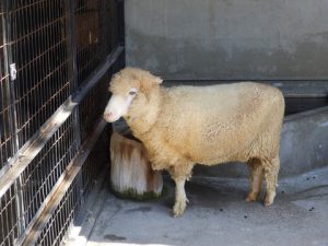 高岡古城公園動物園
