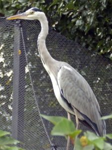 のんほいパーク