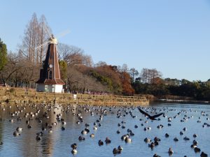 浮間公園