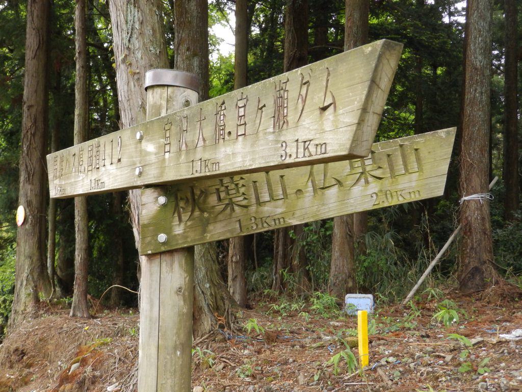 東京スカイツリーより高い山に登る
