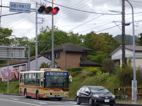 e983d1e5.jpg